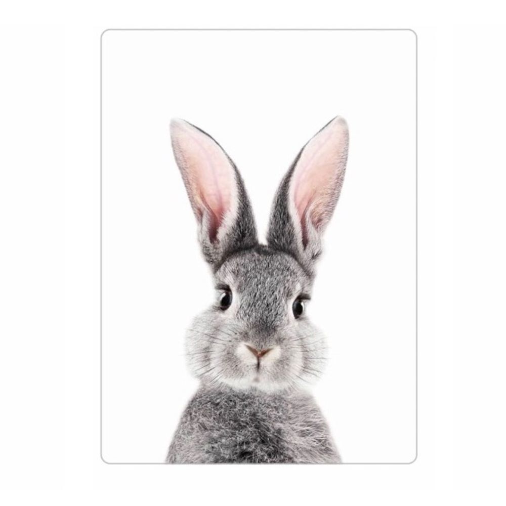 Cute Rabbit Print  Magnet